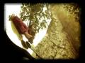 videos de The Jegest band ( Rocky ) - Mendekati Sempurna - acoustic