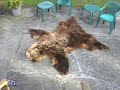 Everyday People Show interview with The Bear! Everyday People Show interview with The Bear!