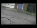 videos de Subject 171