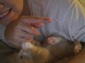Rescuing an orphand kitten!