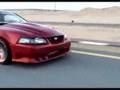 160 run in maze saleen