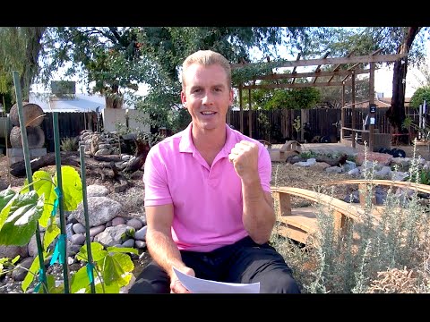 how to meditate kung fu