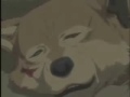 Wolf's Rain I Want to be Free AMV