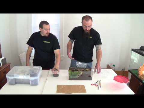 how to get more housing points