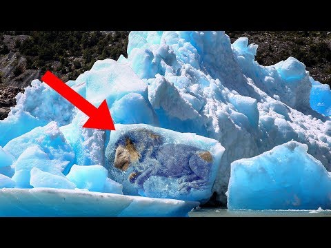 Most MYSTERIOUS Things Found Frozen In Ice!