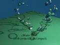 Fluid-tests