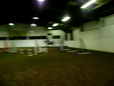 Horsebook Movie: Shammar Jumoing for the first time!