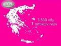HOL-051108.wmv