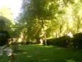 MOV09204