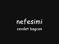 cevdet-bagcannefesimisrmeli-slayt.html