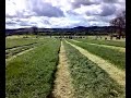 Scotgrass 2007