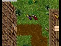 Tibia Pk 149rp and 70Rp down