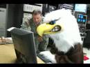 AFN Daegu, The Eagle PROMO AFN Daegu, The Eagle PROMO