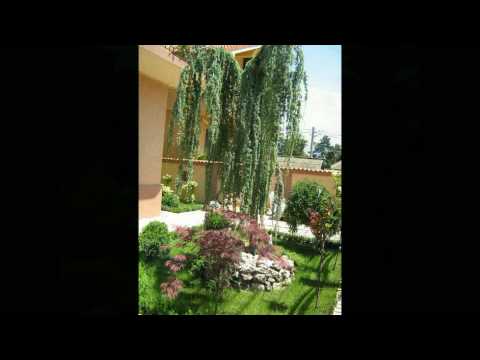 amenajari gradini, foisoare de gradina, terase din lemn mobilier de gradina www.teoconstruct.avi
