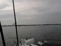 bass