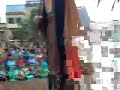 els gegants de malgrat de mar 