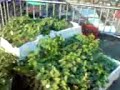 Taipei City - very nice roof top apartment with 101 view screen 3
