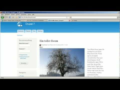 Video ansehen