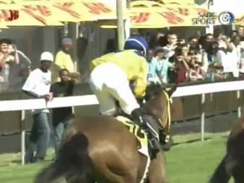 racing results cheltenham