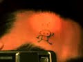 Body Painting Animation
