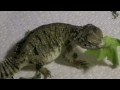 Uro.mov