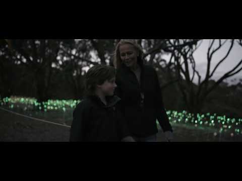 Field of Light closing experience