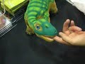 PLEO@Robot exhibition in Tokyo -????????????????????