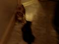 MOV02428 MOV02428