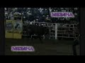 charrito de altavistamor vs el coralillo