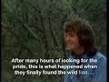 http://www.chocolatemedicine.info brings you this video compilation and we hope you enjoy it....it brought tears to our eyes. the wonderful video by the beckmann group combines beautifully with whitney houston's song, 