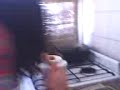 Maii con Camii pajeriandoxD