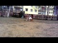View Video