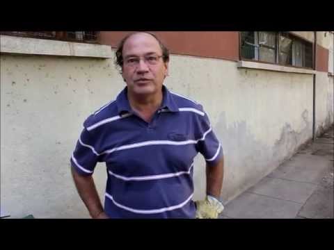 Proyecto Jardín Hospital Psiquiátrico