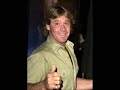 steve irwin tribute video