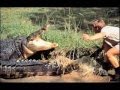 steve irwin tribute video