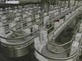Global Pulse - 10/02/08: China's Milk Shakeup