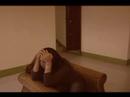 Y sin embargo  (video clip) - Joaquín Sabina