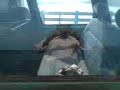Malwan Goa 2007 Trip Part8