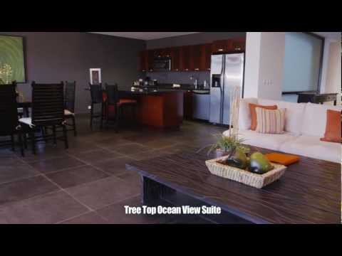 Tree Top Ocean View Suite