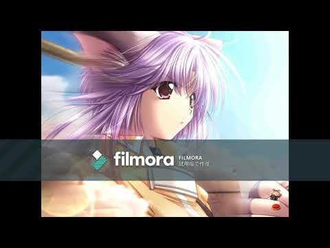 動画