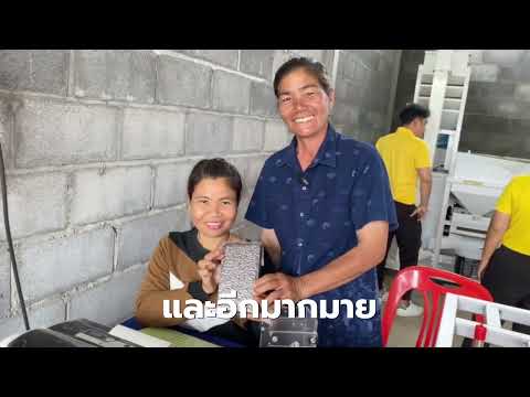 เกษตรมูลค่าสูง รายสินค้า (ข้าว) อำเภอสระใคร จังหวัดหนองคาย