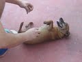 cócegas na Bianca.avi