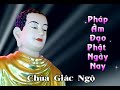Vấn đáp: Tình Cha Con - Thích Nhật Từ
