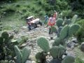 Zumpango eXtremo 2011 Tolcayuca 1 RZR Polaris Climb - ATV Valle de Mexico