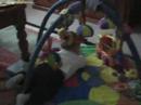 Luca se divierte solo/Luca�s having fun on his own
