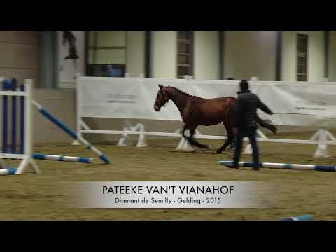 Presentation Pateeke van't Vianahof