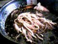 グルメウォーカー【銀座 五行】ラーメン