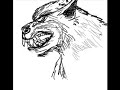 Werewolf speed drawing 2