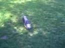 duna jugando con athos