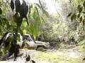 Campsur4x4 Monagas abril 2009 0001